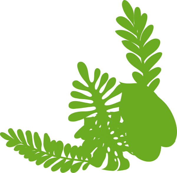 tropic leaf image