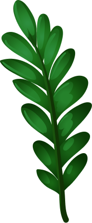 tropic leaf image