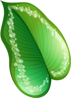 tropic leaf image