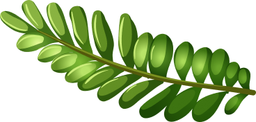 tropic leaf image