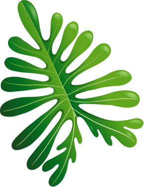 tropic leaf image