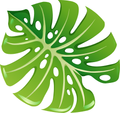 tropic leaf image