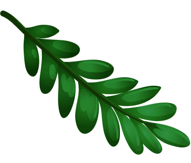 tropic leaf image