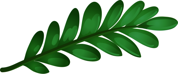 tropic leaf