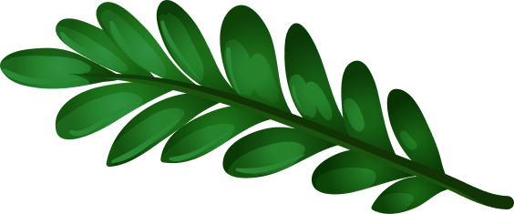 tropic leaf