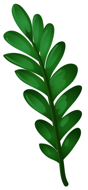 tropic green leaf