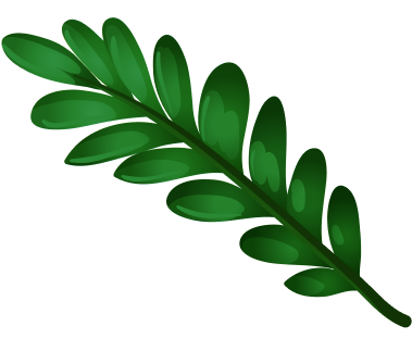 tropic green leaf